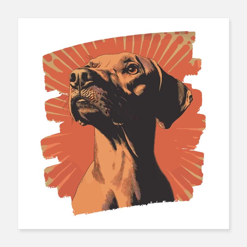 Rhodésian Ridgeback Poster 40 x 40 cm