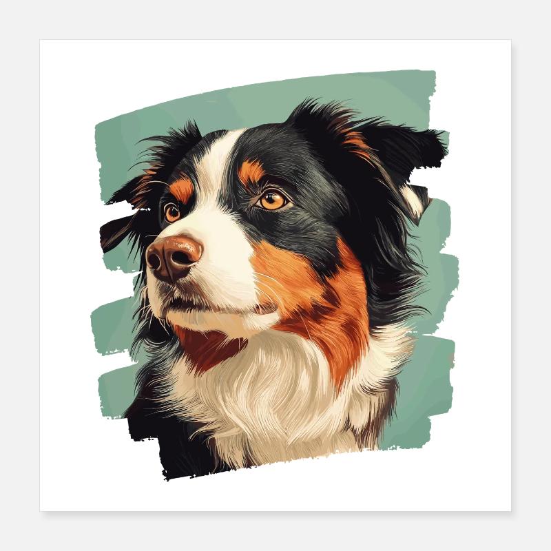 Australian Shepherd Poster 40x40 cm