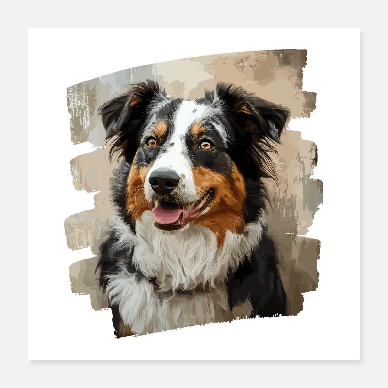 Berger australien Poster 40 x 40 cm