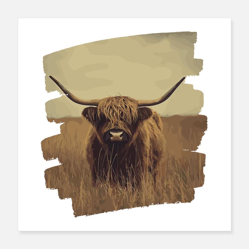 Bovins écossais des Highlands Poster 40 x 40 cm