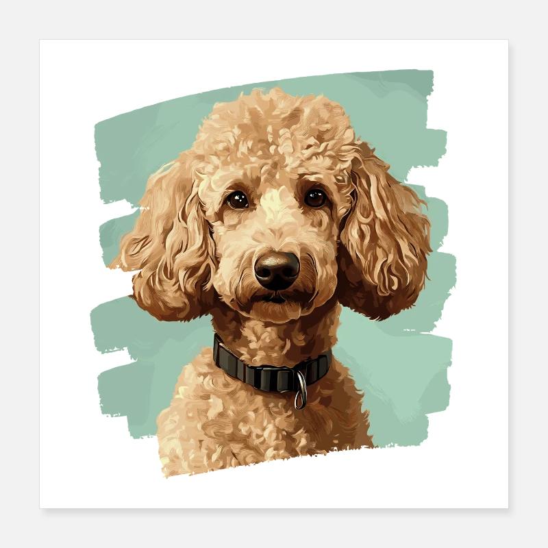 Pudel Poster 40x40 cm