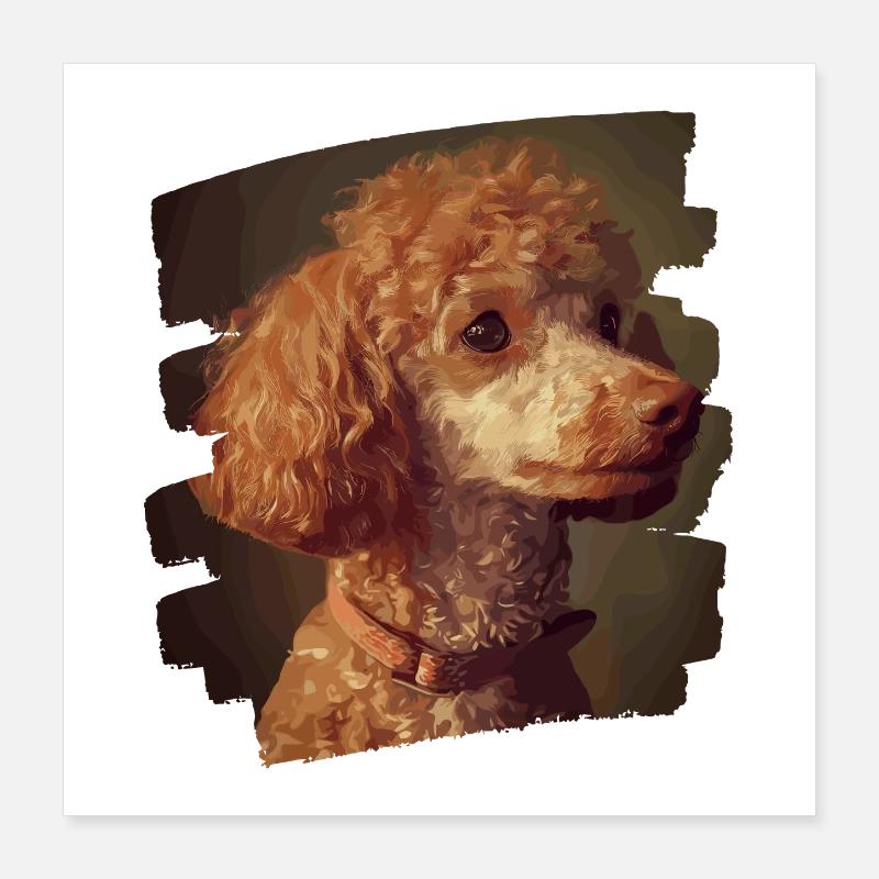 Caniche Poster 40 x 40 cm