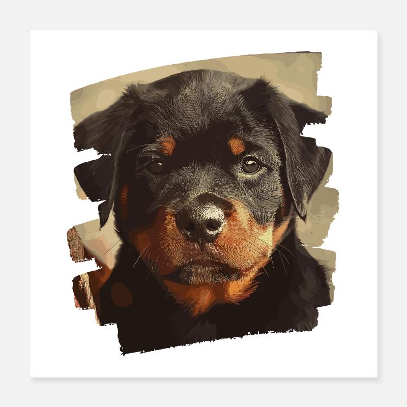 Rottweiler Poster 40 x 40 cm