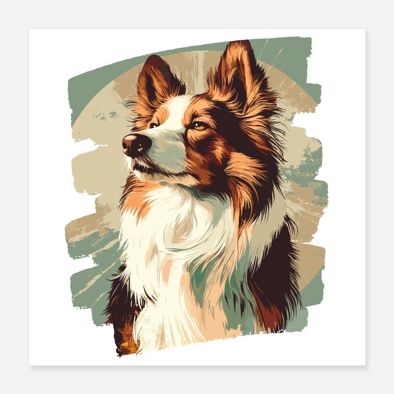 Collie Poster 40x40 cm