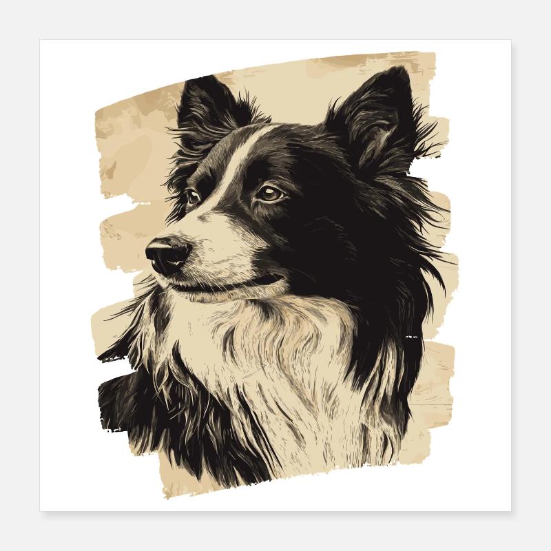 Collie Poster 40x40 cm