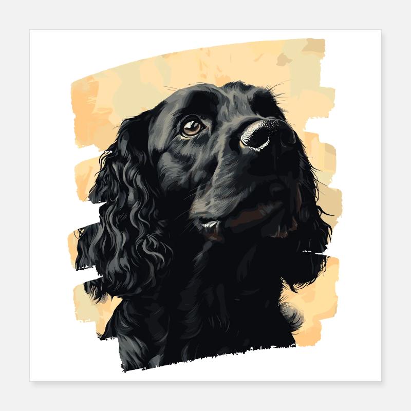 Cocker Spaniel Poster 40 x 40 cm