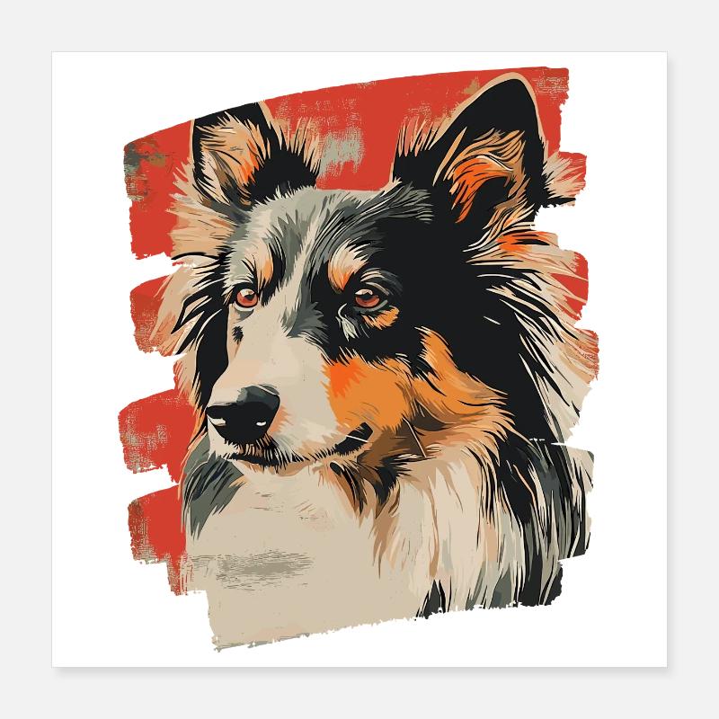 Collie Poster 40x40 cm