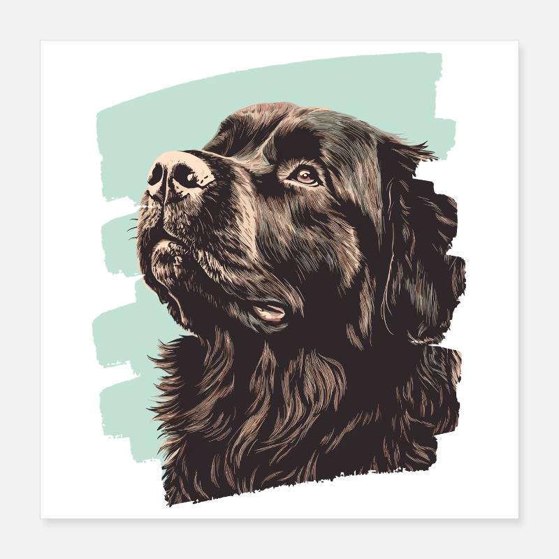 Neufundländer Poster 40x40 cm
