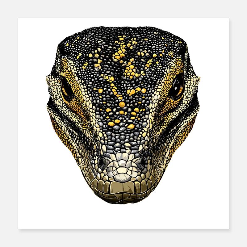 Waran Echse Reptil Komodowaran Bindenwaran Lizard Poster 40x40 cm