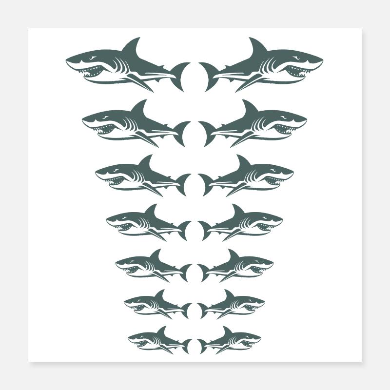 Sharks Poster 40 x 40 cm