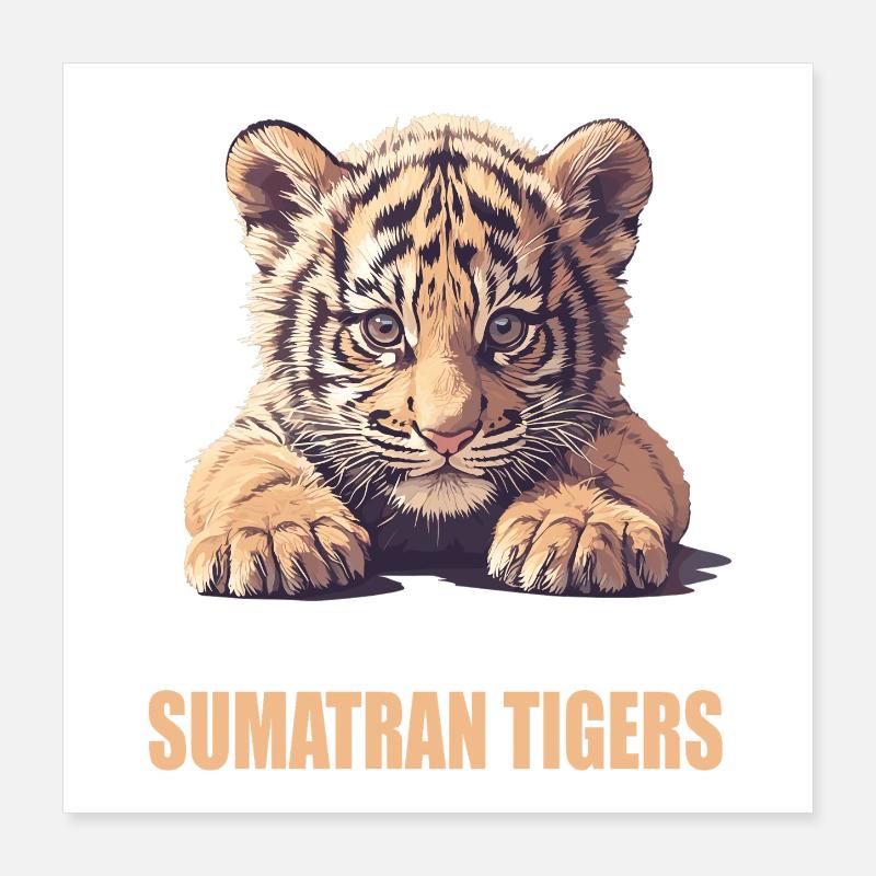 Sumatra-Tiger Poster 40x40 cm