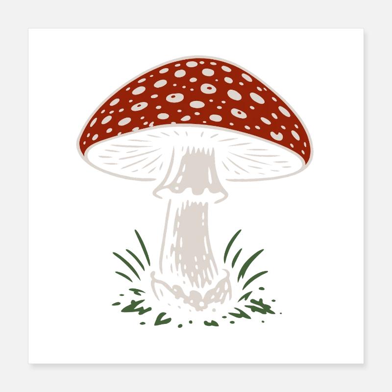Amanite tue-mouches - champignons - dicton Poster 40 x 40 cm