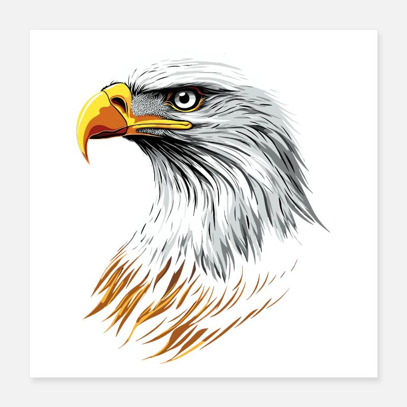 Eagle Bald Eagle Golden Eagle White-tailed Eagle Poster 16" x 16" (40x40 cm)
