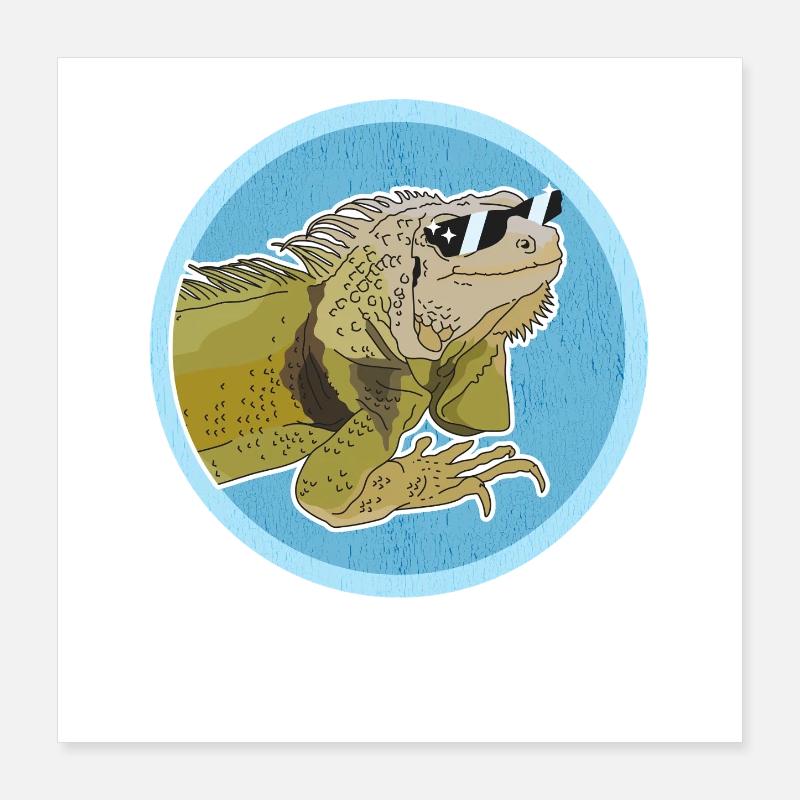 Leguan Eidechse Leguane Geschenke Poster 40x40 cm