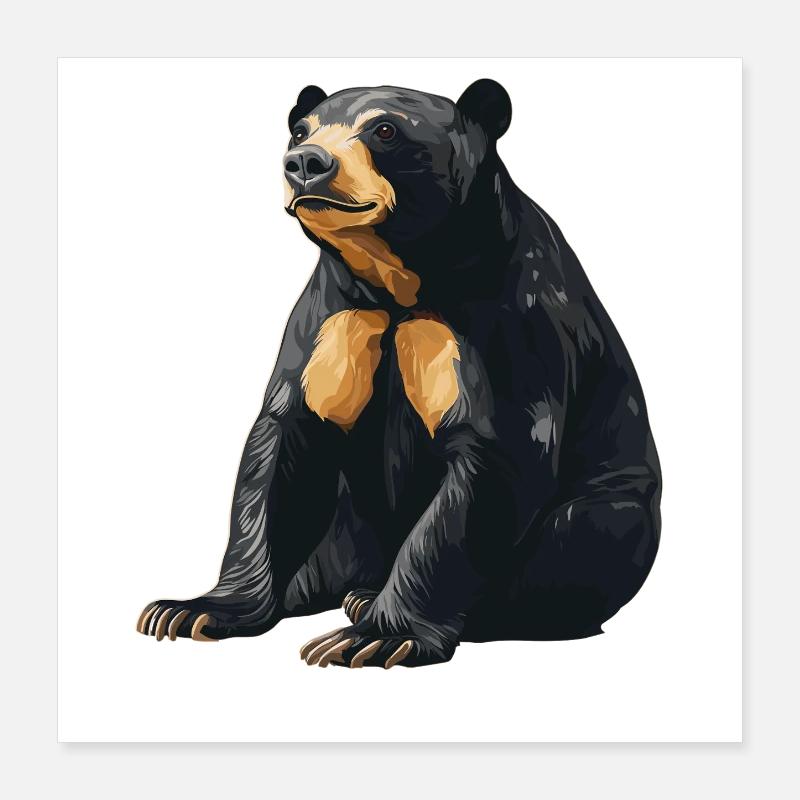 Ours du Soleil Ours Malais Poster 40 x 40 cm