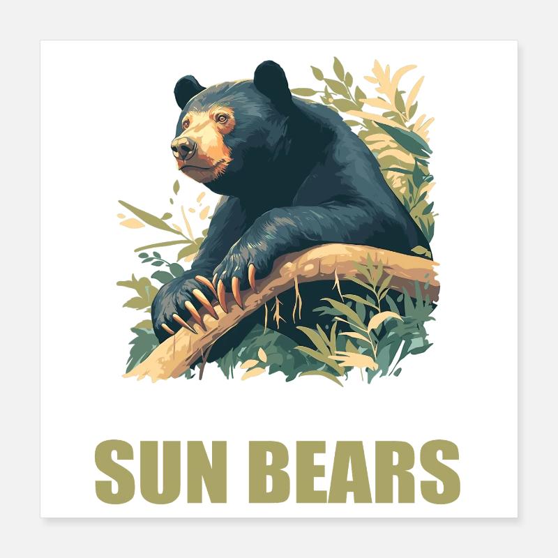 Ours du Soleil Ours Malais Poster 40 x 40 cm