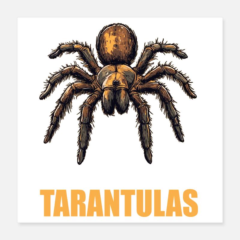 Tarentules Tarentule Poster 40 x 40 cm