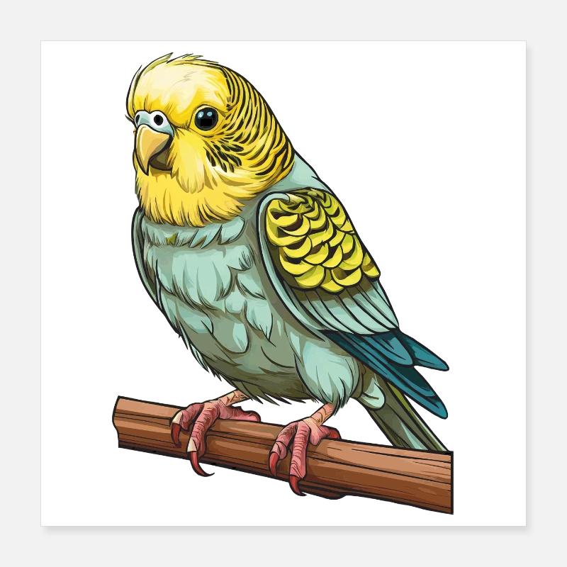 PERRUCHE OISEAU Poster 40 x 40 cm