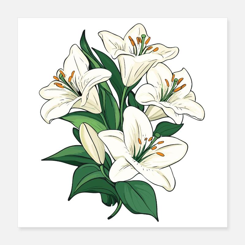Graphique d’illustration blanc Lys Poster 40 x 40 cm