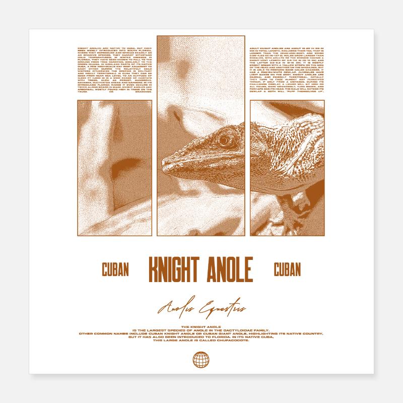 Cuban Knight Anole Lizard Owner Reptile Keeper Poster 16" x 16" (40x40 cm)