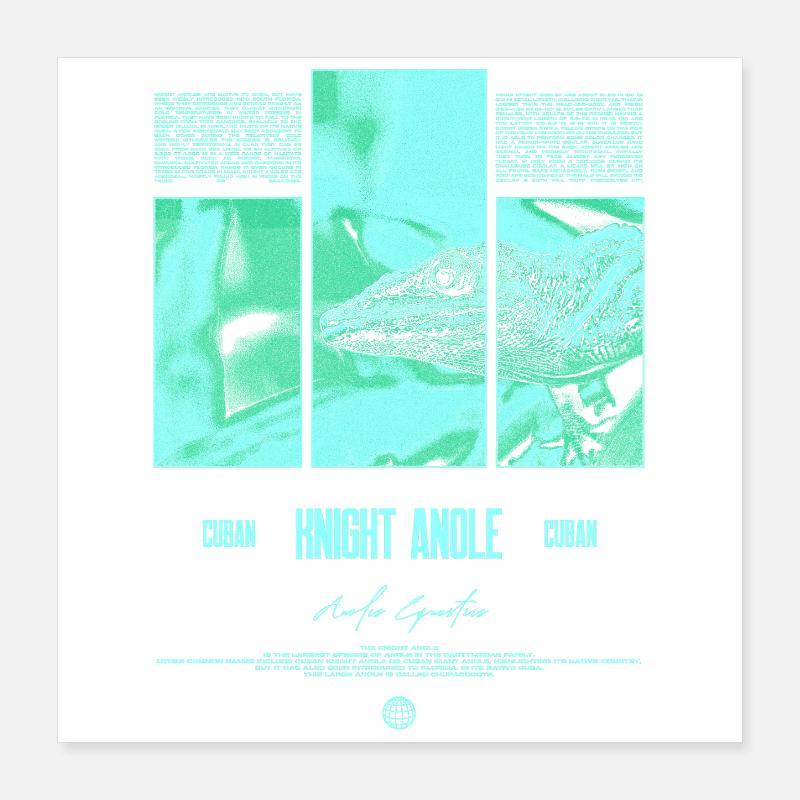 Cuban Knight Anole Lizard Owner Reptile Keeper Poster 16" x 16" (40x40 cm)