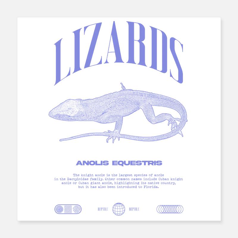 Cuban Knight Anole Reptile Keeper Lizard Poster 16" x 16" (40x40 cm)