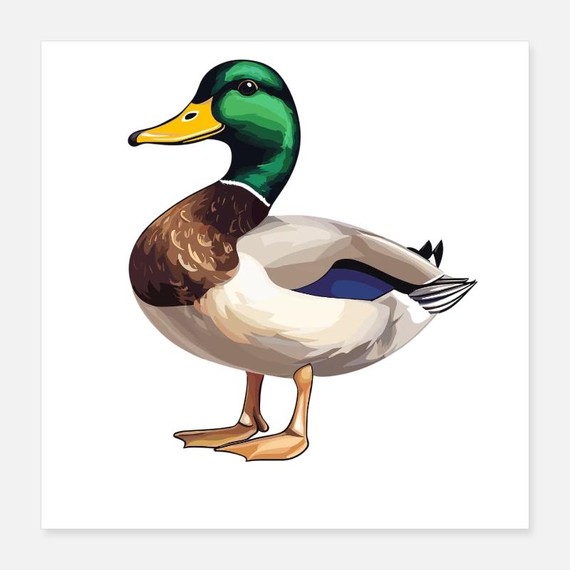 Ducks Duck Poster 16" x 16" (40x40 cm)