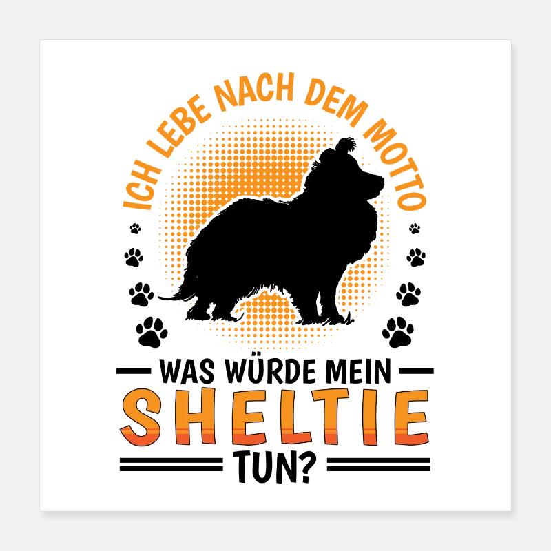 Que ferait Sheltie Chien de berger Shetland Poster 40 x 40 cm
