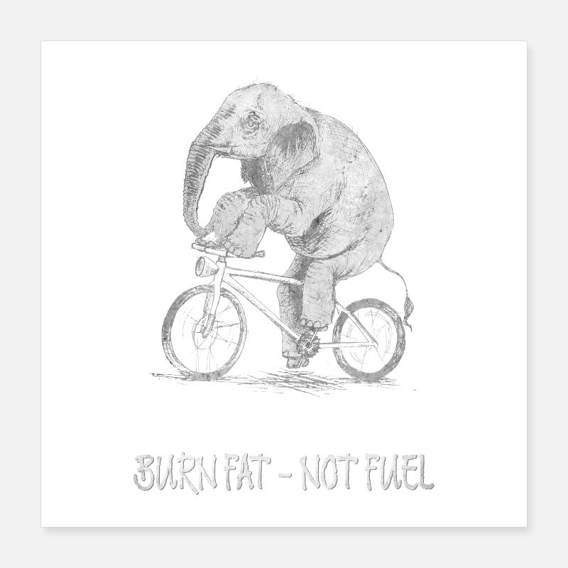 Brûler les graisses - pas de carburant Drôle d’éléphant de vélo Poster 40 x 40 cm