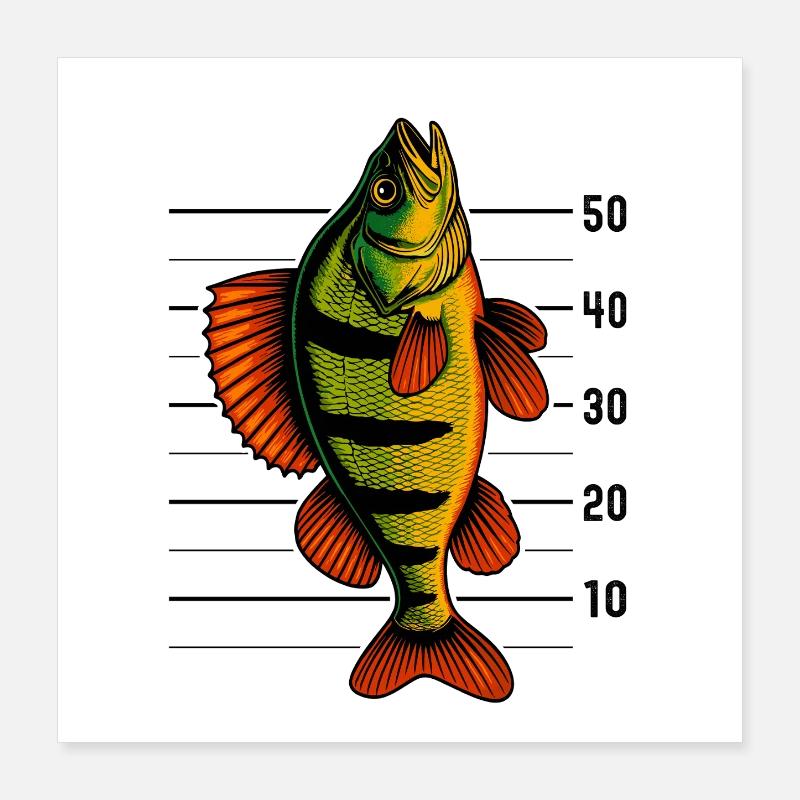 Barsch Flussbarsch Barschangeln Barsche Barsch Poster 40x40 cm