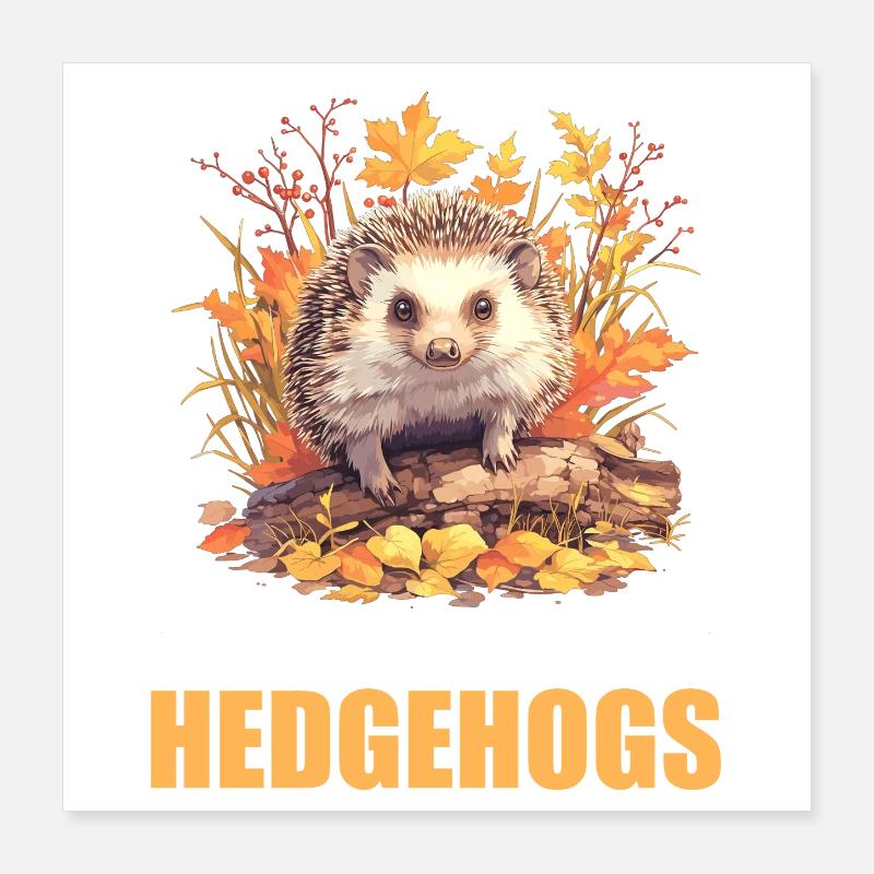 Hedgehog Poster 16" x 16" (40x40 cm)