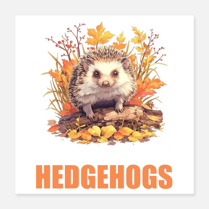 Hedgehog Poster 16" x 16" (40x40 cm)