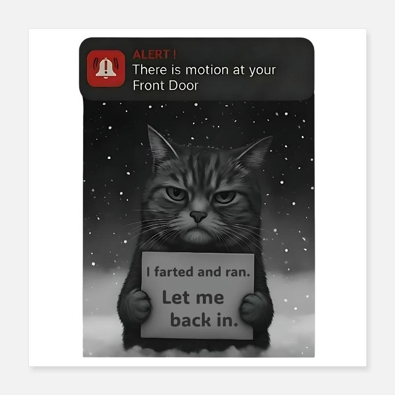 Cat has a message for you - Funnier Poster 16" x 16" (40x40 cm)