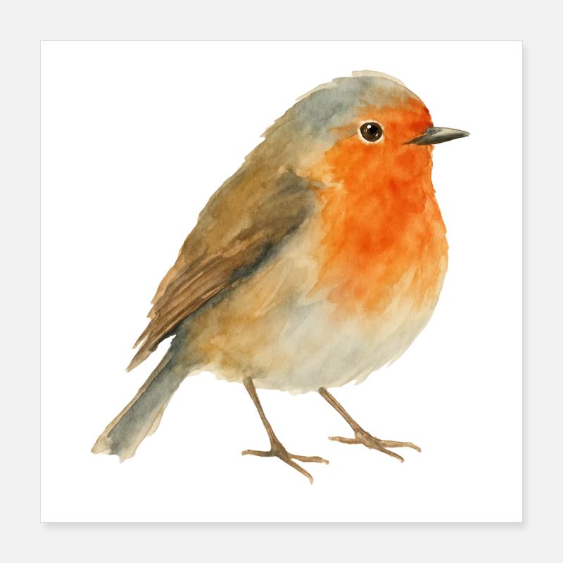Robin aquarelle Poster 40 x 40 cm