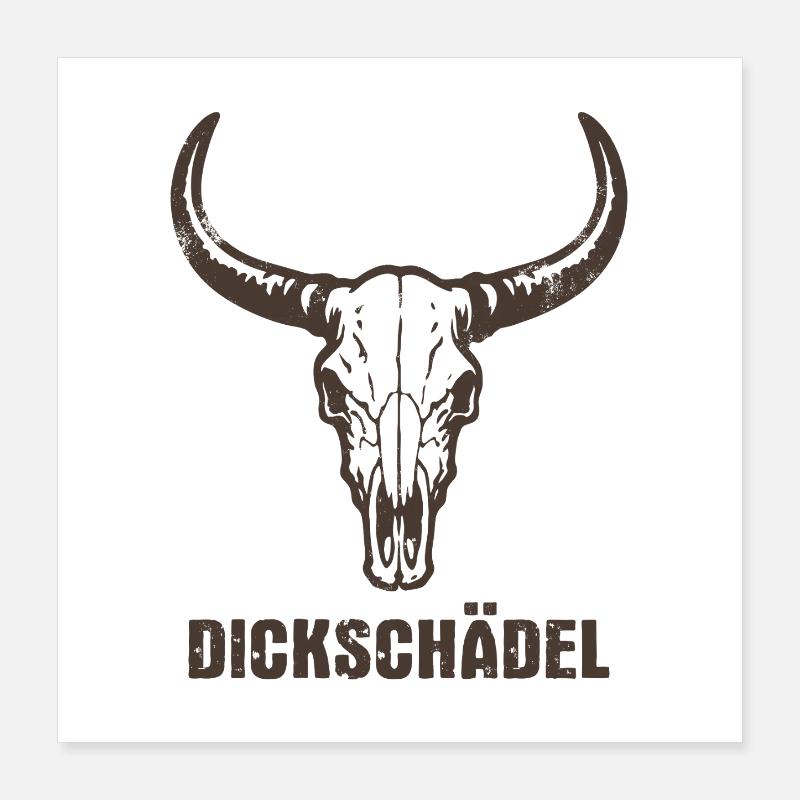 Stierkopf Schädel mit Hörnern - Dickschädel Poster 40x40 cm