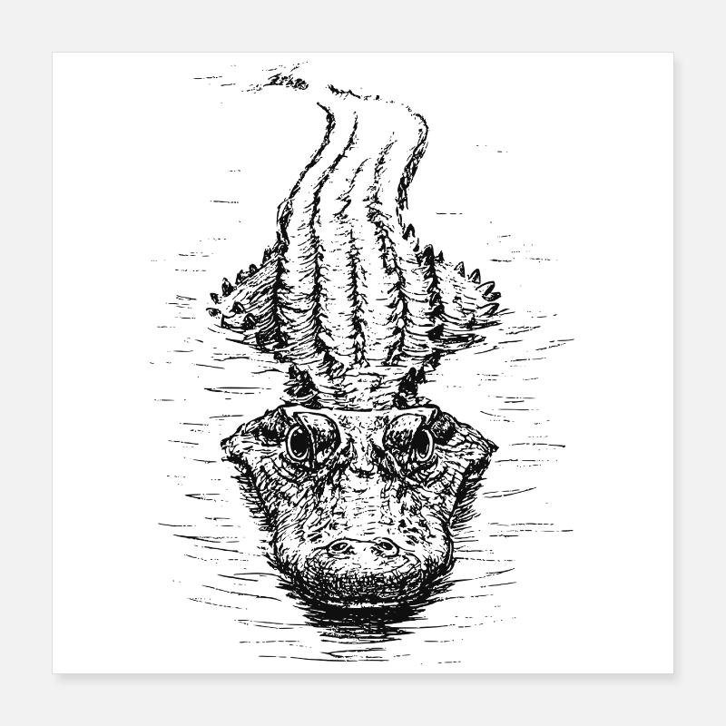 Croco flottant Poster 40 x 40 cm