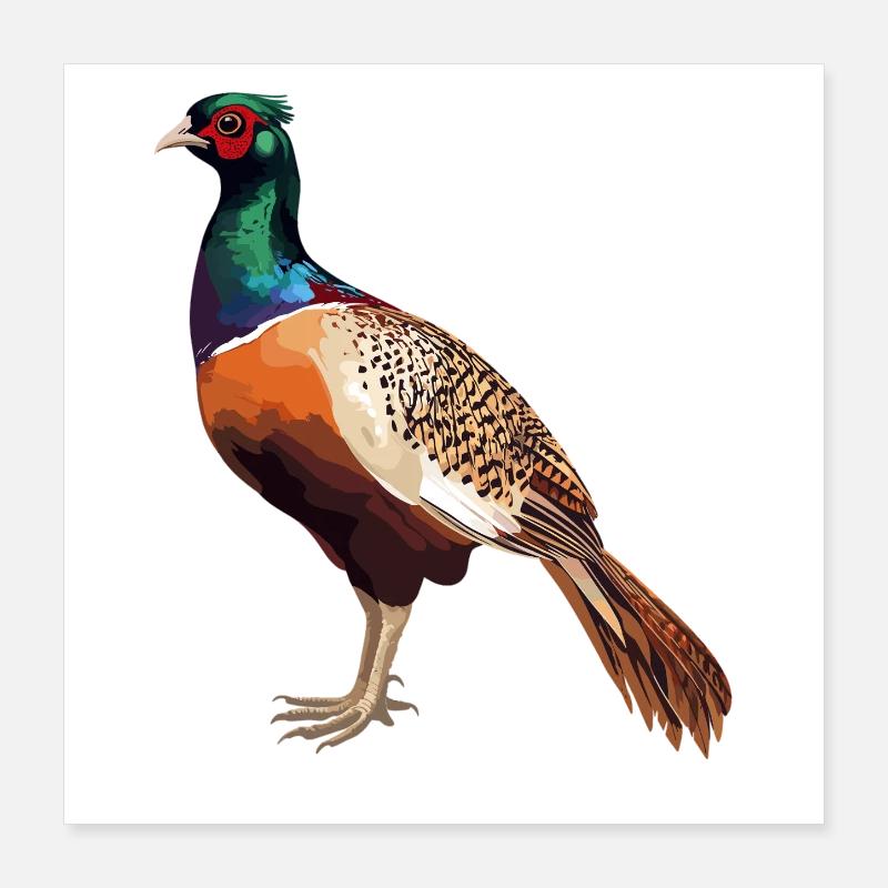Pheasants Pheasant Poster 16" x 16" (40x40 cm)