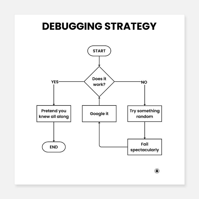 Debugging-Strategie-Flussdiagramm – Funktioniert es Geschenk Poster 40x40 cm