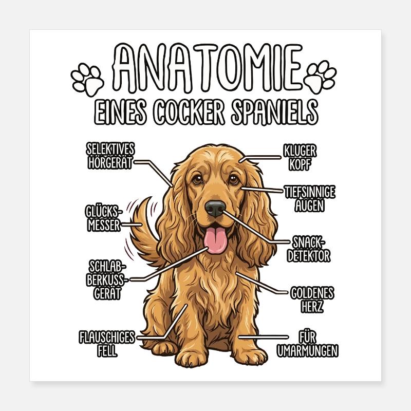 Cocker Spaniel: Die wahre Anatomie Poster 40x40 cm