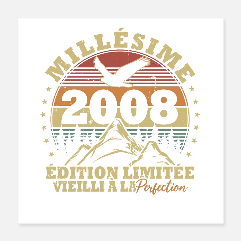 Vintage 2008 Vintage Retro Geburtstagsgeschenk Poster 40x40 cm