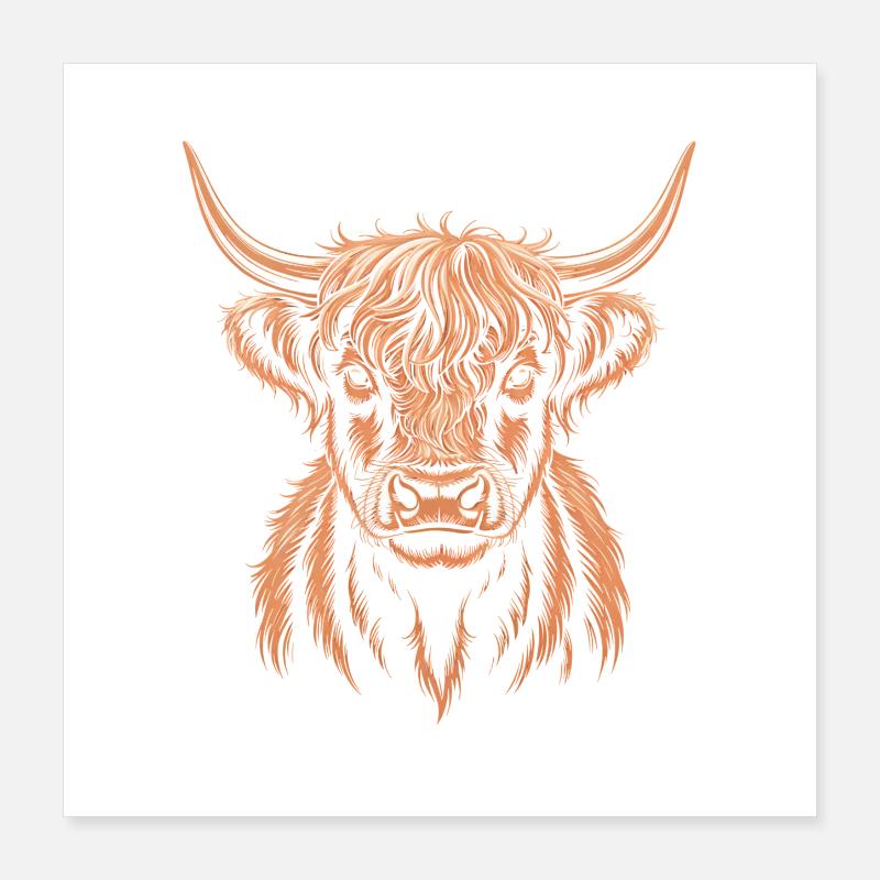 Scottish Highland cattle Poster 16" x 16" (40x40 cm)