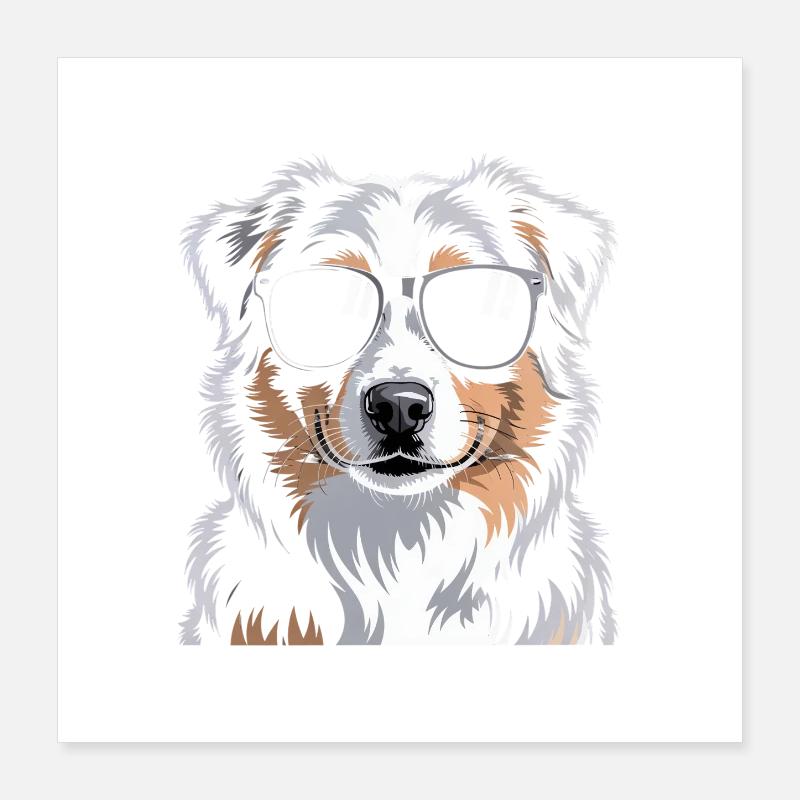 Australian Shepherd Poster 40x40 cm