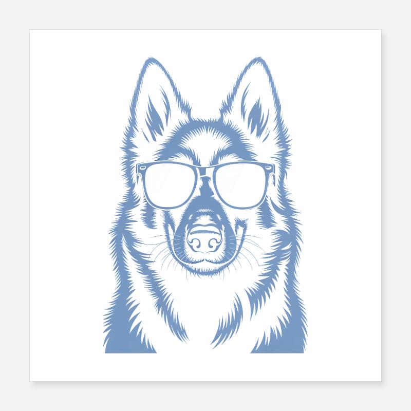 Belgian Shepherd Dog Poster 16" x 16" (40x40 cm)
