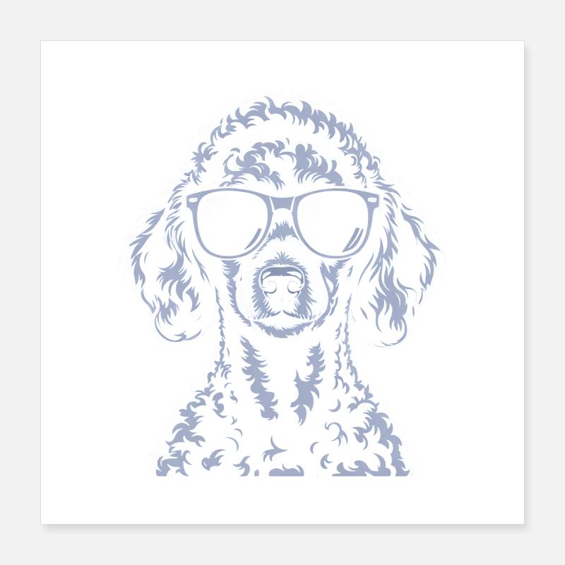 Weisser Pudel Poster 40x40 cm