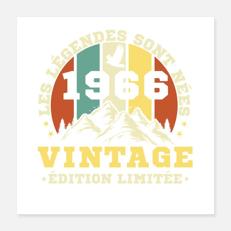1966 Vintage Retro Geburtstagsgeschenk Poster 40x40 cm