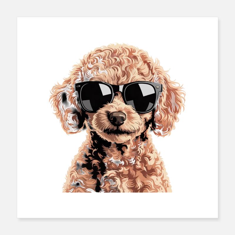 Brown Toy Poodle Poster 16" x 16" (40x40 cm)
