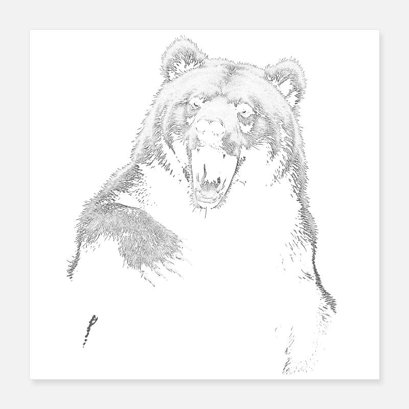Grizzly Bear Randonnée Camping Ours brun vintage Poster 40 x 40 cm