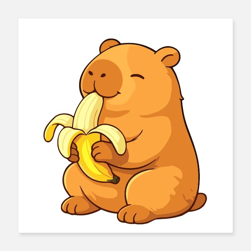 Capybara souriant mangeant une banane - Poster 40 x 40 cm - blanc