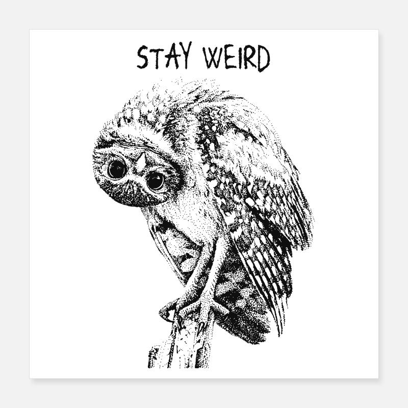Reste la chouette bizarre Poster 40 x 40 cm