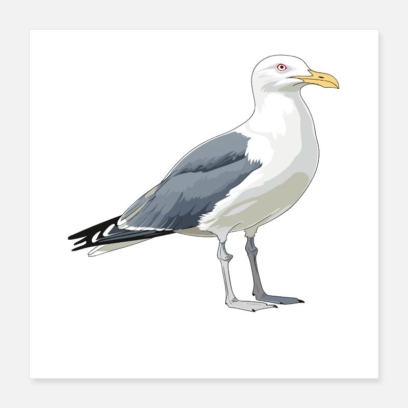 Küstenmöwe Cartoon-Illustration Poster 40x40 cm